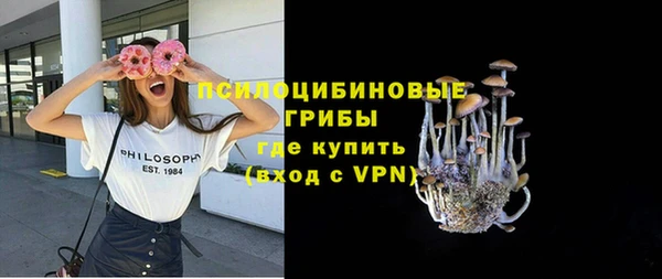 гидра Семёнов