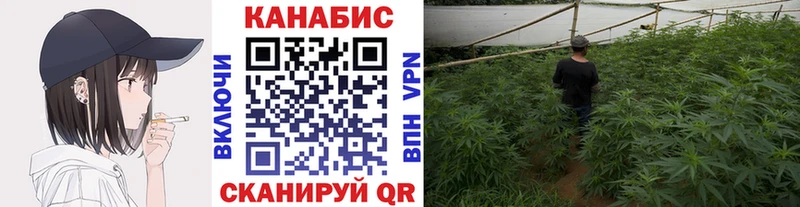 закладки Вышний Волочёк МАРИХУАНА Bruce Banner